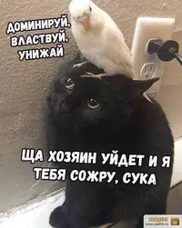 607cca237ebd05012d3d07d5d5237d79.webp