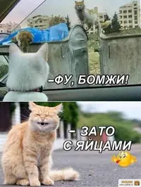 7013a39bc853336085dcccc6da65da74.webp