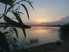 rps20210326_201226.webp
