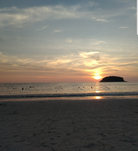 Screenshot_20210327-101937_Photos.webp