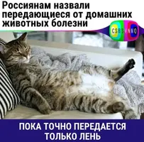 20210327_094425.webp