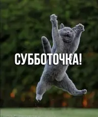 ED1puLRXoAEuWAx.webp
