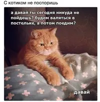 5497e6b23f1c265d8fed2aa8ba304e28.webp