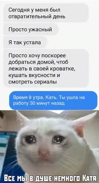 15675031701100090399.webp