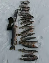 20210328_084305.webp