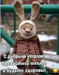 А4.webp