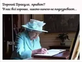 1590750575185619110.webp