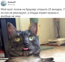 1569003309178125886.webp