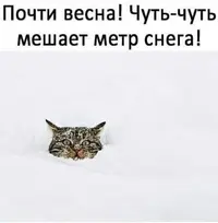 20210329_110409.webp