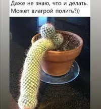 Screenshot_20210329_122413.webp