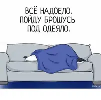 14664026.webp