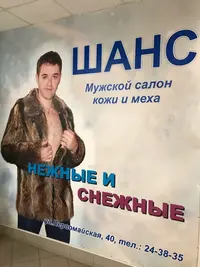 15402217.webp