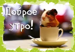 CrEUO0rWcAAcumU.webp