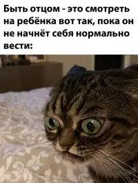15405134.webp
