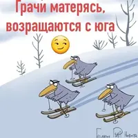 IMG-20210327-WA0000.webp