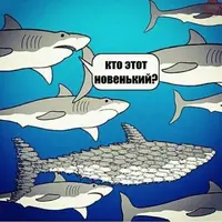 deccbf2a37bc07d74a859d92237f5e25.webp