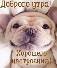 e8cd8923c0c06f7a104a31614f08c836.webp