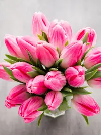 Bouquets_Tulips_Closeup_Pink_color_521468_2048x2732.webp