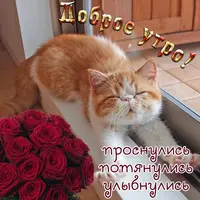 krasivye-otkrytki-kartinki-s-dobrym-utrom-chast-6-aya-3.webp