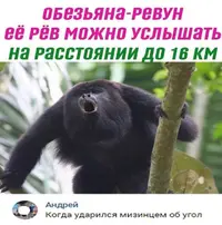 20210402_125218.webp