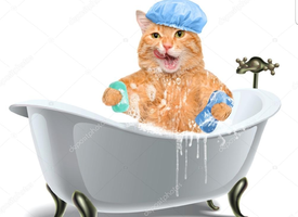 Screenshot_20210402-204456_Chrome.webp