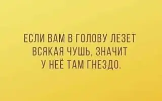 FB_IMG_1617373380673.webp