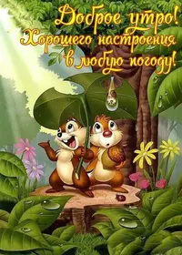 b7fafafbc3045a1c3bde75f68c6cbdd5.webp