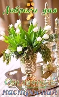 IMG_20210404_081519.webp