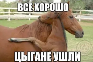 20210404_132727.webp