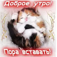 i (1).webp