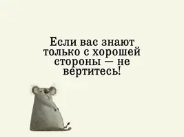 photo_1507298522.webp