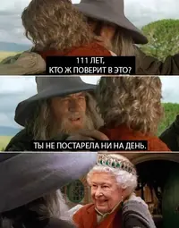 161755623418935566.webp