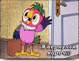 e1b154ds-960.webp
