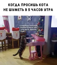 IMG-7a0b302ce6c25fc4b0e487a3ff589599-V.webp