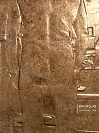 9727DADB-9880-4EEA-BDDF-314B12D20919.webp