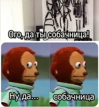 15423559.webp