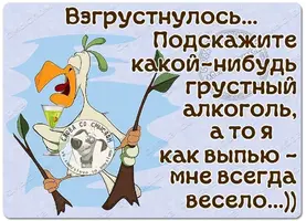 i.webp