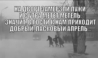 78735_600.webp