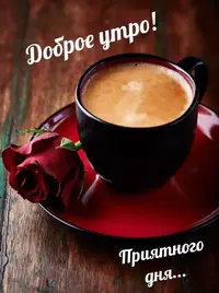 f9628ceace308af66c674bbd8cb65236--coffee-postcards (1).webp