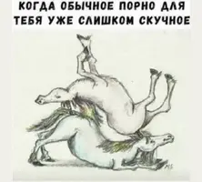 15426901.webp