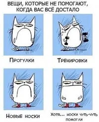 f5f46db5d58fa9e8c888f0e533c83550.webp