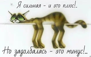 q_4xWnXOe9s.webp