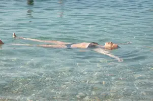 image.webp