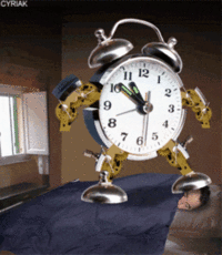 6289068.gif
