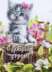 DhezoKrX4AA1YTw.webp