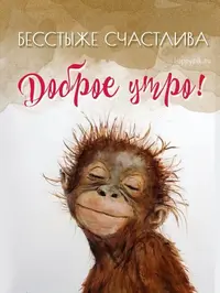 e71ffbbc261a448fa6d5b43835dc9d44.webp