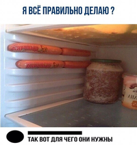 fun24.org_smeshnye-memy-i-kartinki-s-nadpisjami-21.webp