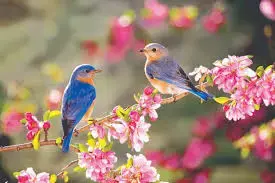 images (10).webp