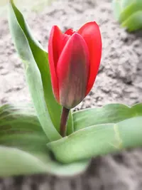 IMG_20210408_174316.webp