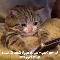 1561543654133769102.webp